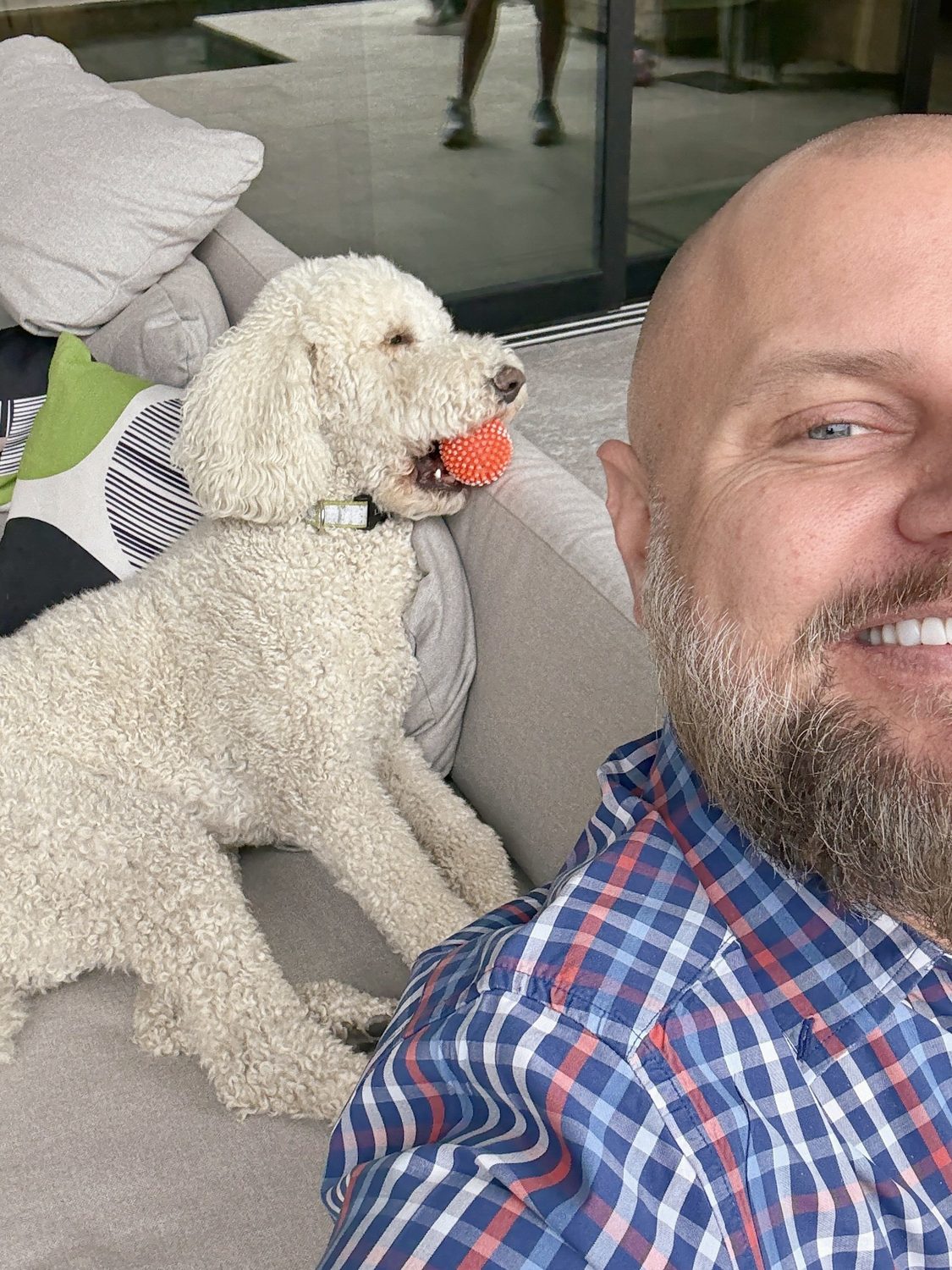 Client's dog at a finished project