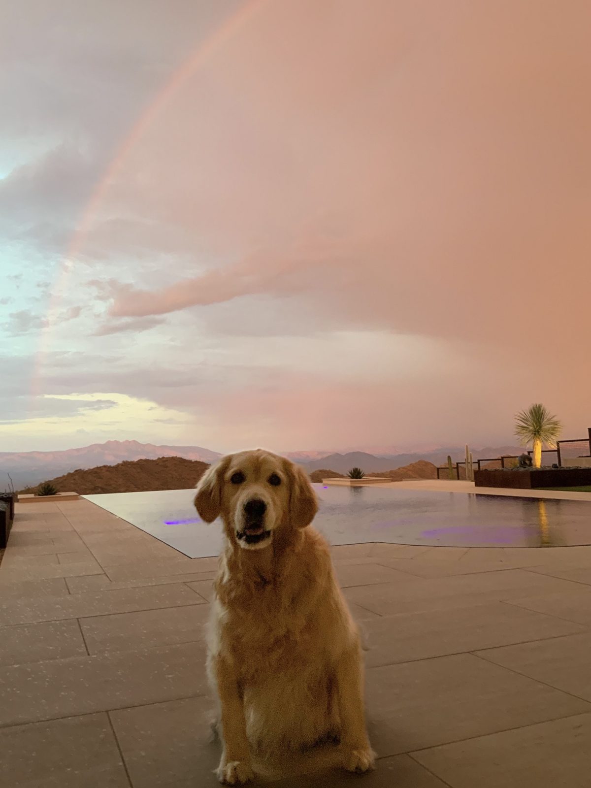 Lily beside the infinity pool at sunset